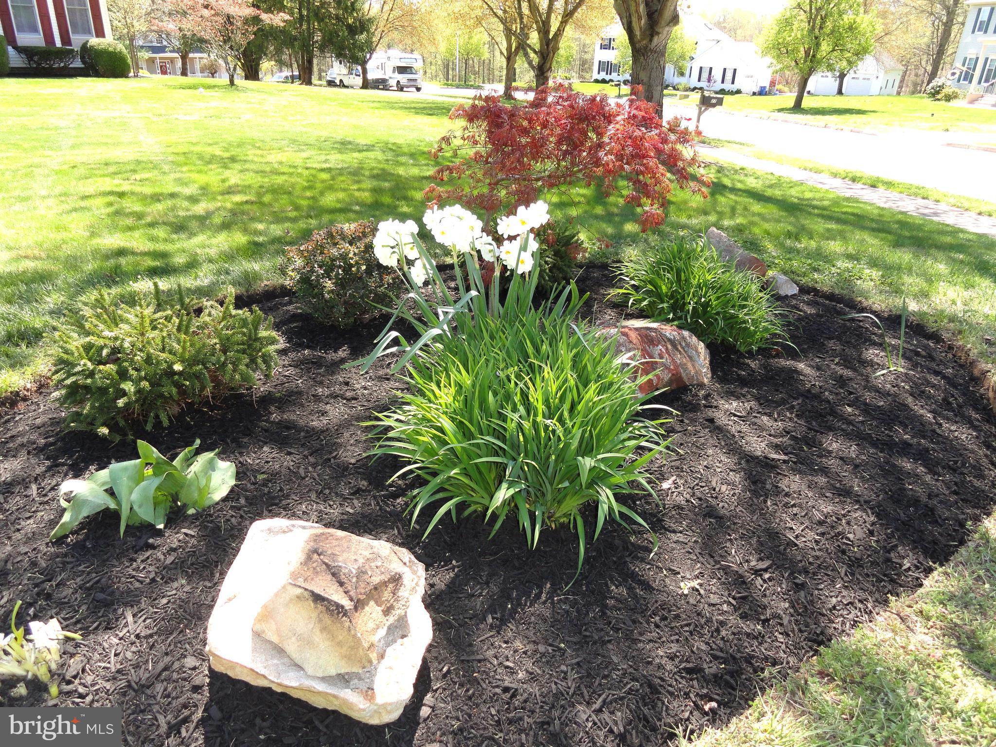 27 Ivy Lane Wrightstown, NJ 08562 - Photo 99 of 100