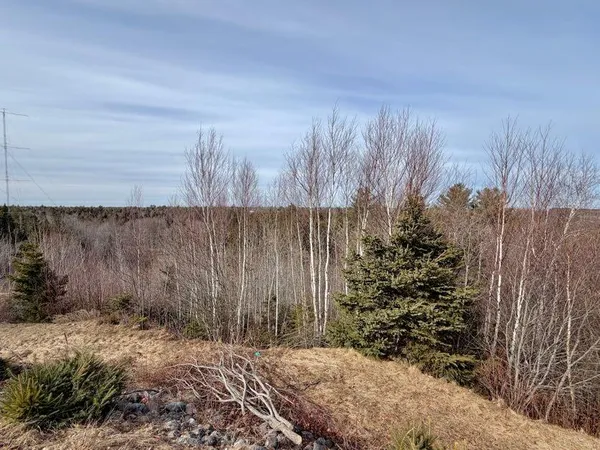 $295,000 | 843-839 Highway 1, Jonesboro, ME 04648