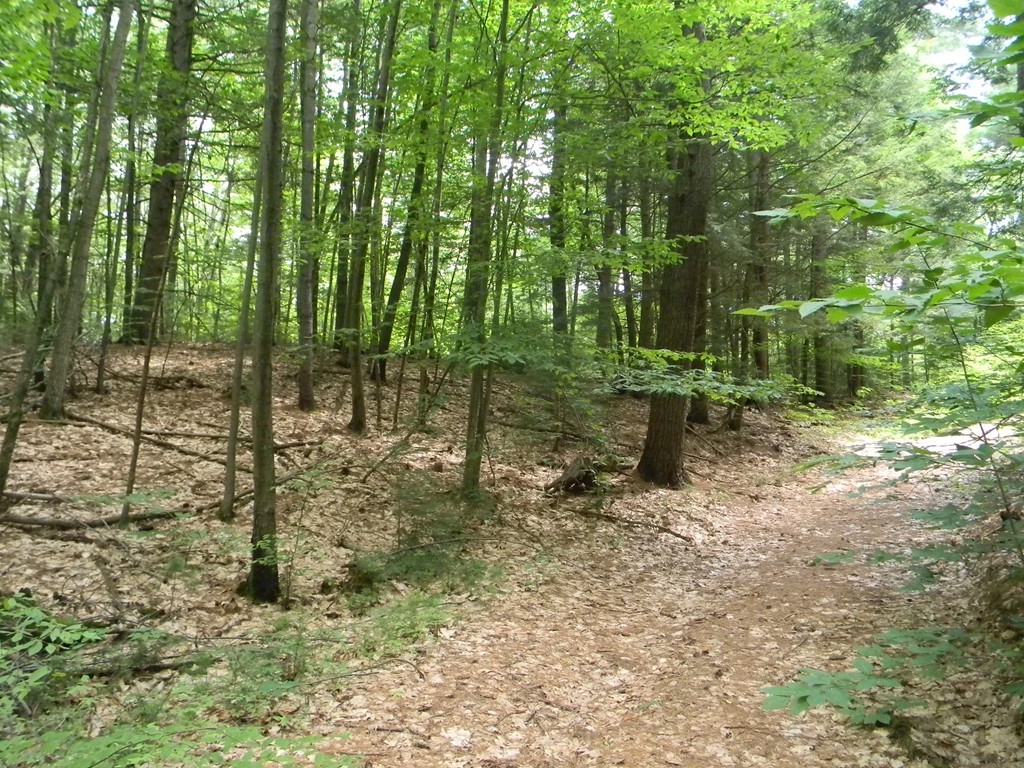 0 Lyman Road Westhampton, MA 01027 - Photo 1 of 3