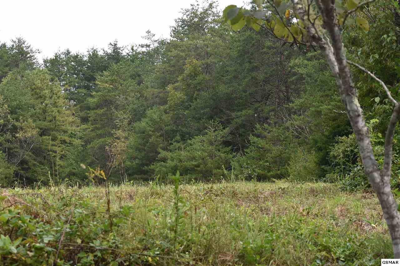 1618 Dixon Branch Road Sevierville, TN 37876 - Photo 14 of 19 Gallery Image 14