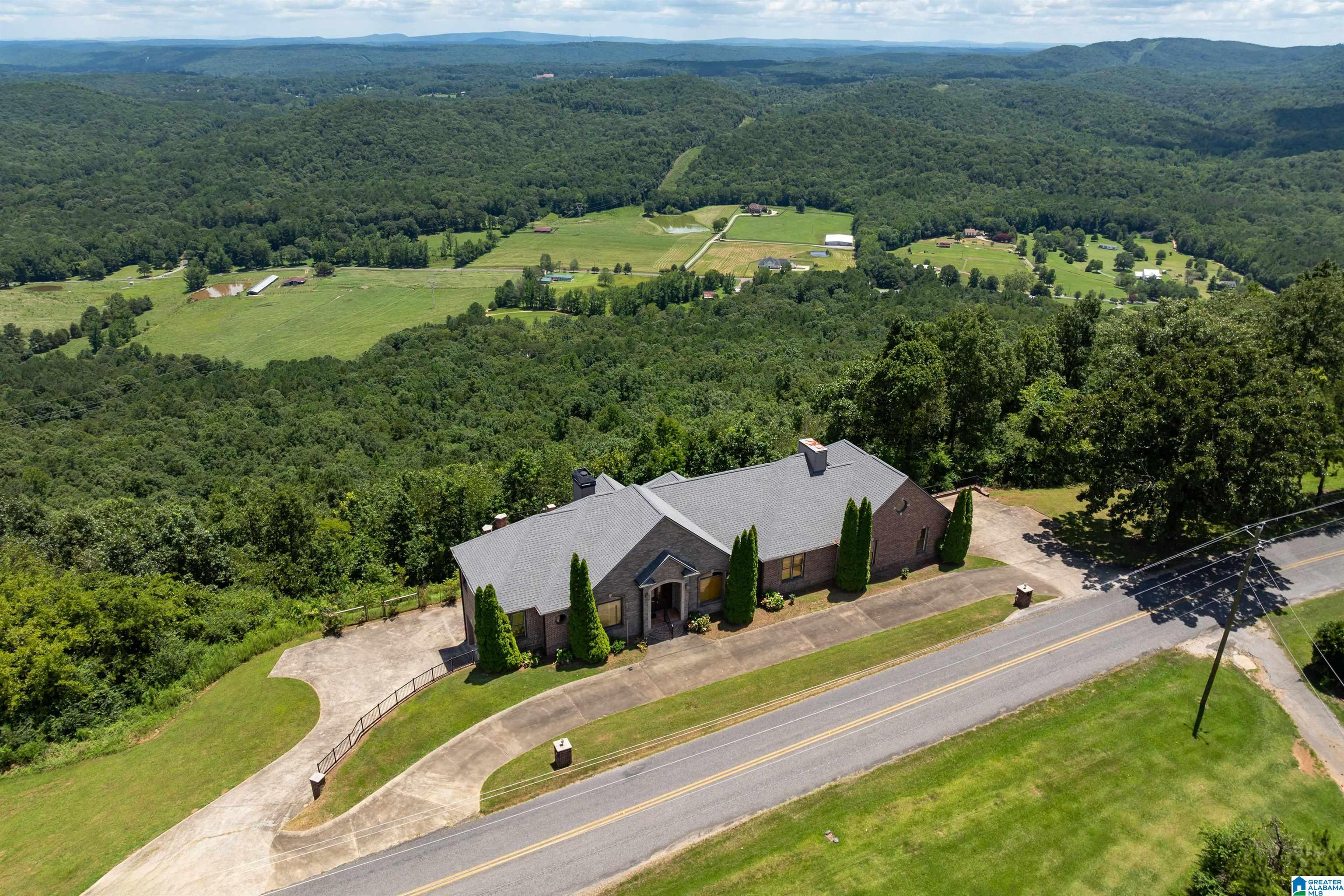 8378 Pine Mountain Road Springville, AL 35146 - Photo 1 of 59