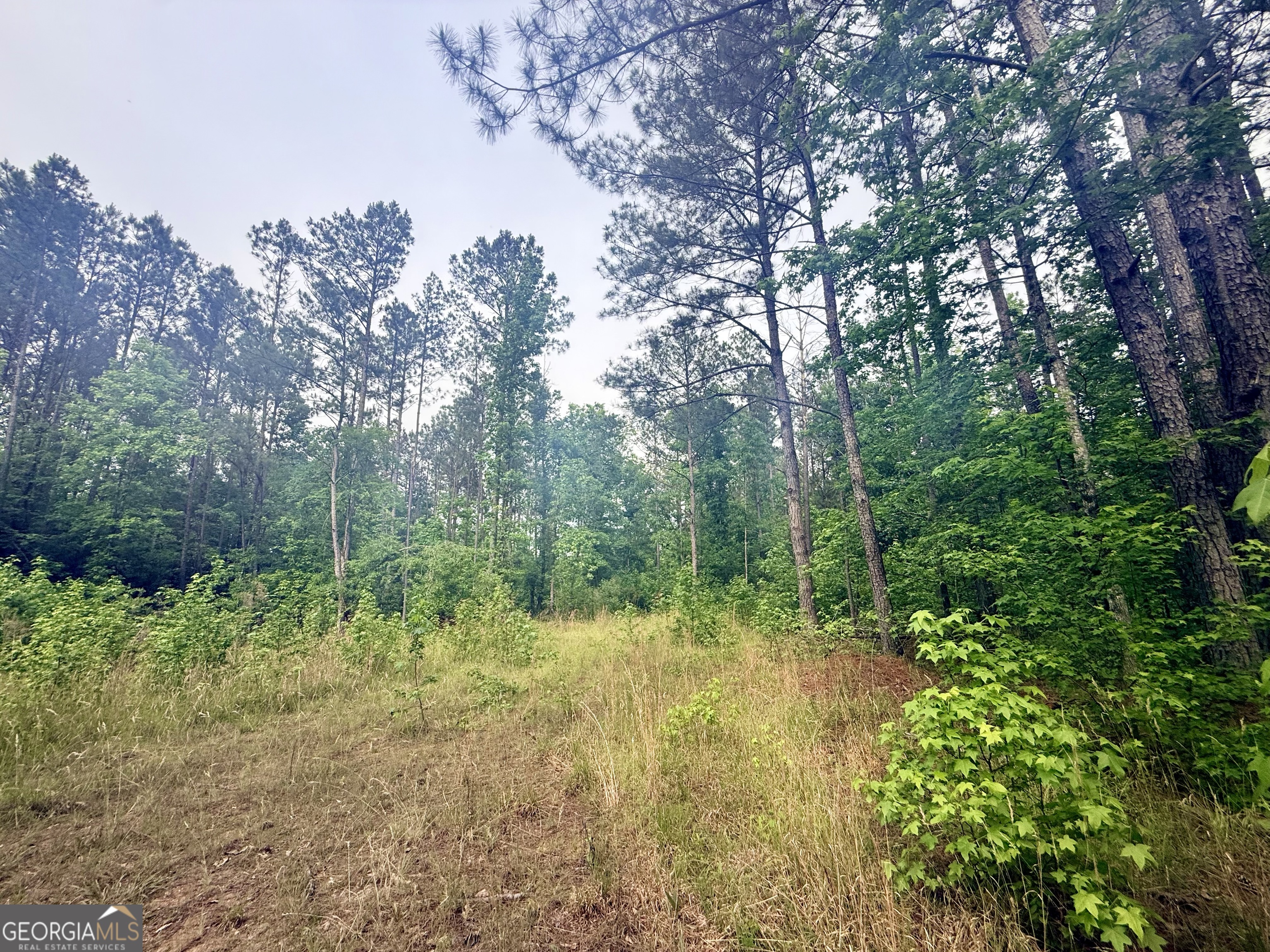 715 Fulsome Creek Road Sparta, GA 31087 - Photo 84 of 117