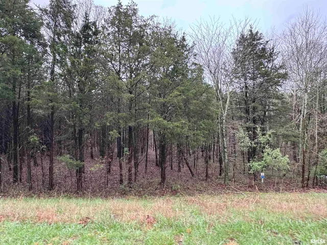 $9,900 | Lot 347 Clifty Lane, Goreville, IL 62939