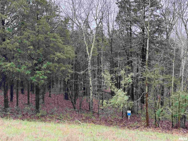 $9,900 | Lot 347 Clifty Lane, Goreville, IL 62939
