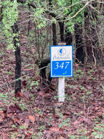 $9,900 | Lot 347 Clifty Lane, Goreville, IL 62939