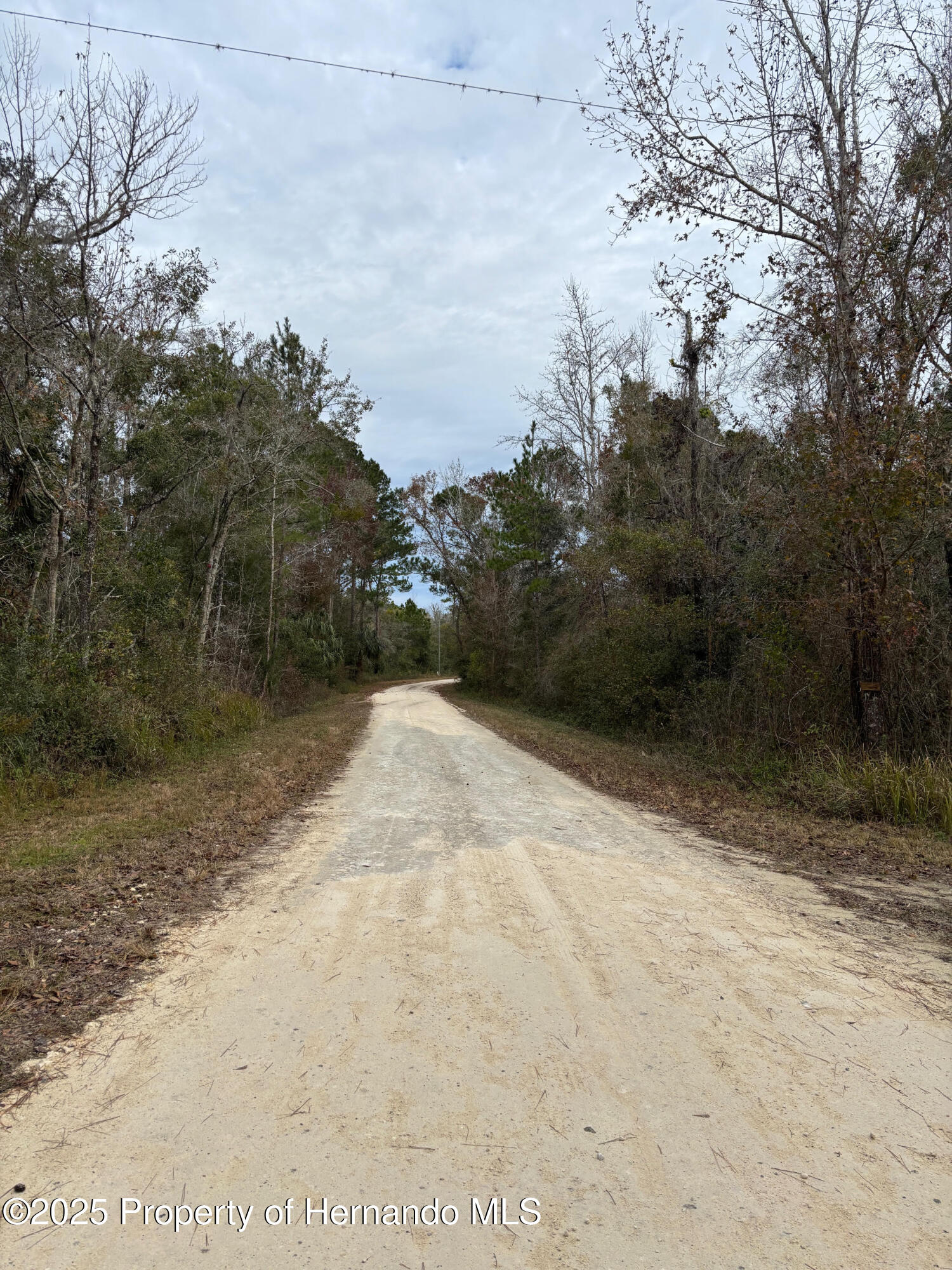 Lot 1 Carolina Dove Road Weeki Wachee, FL 34614 - Photo 5 of 6