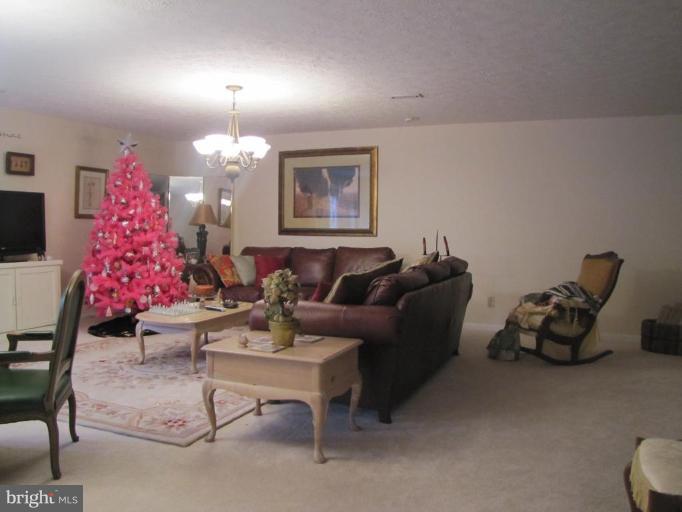 Basement #2