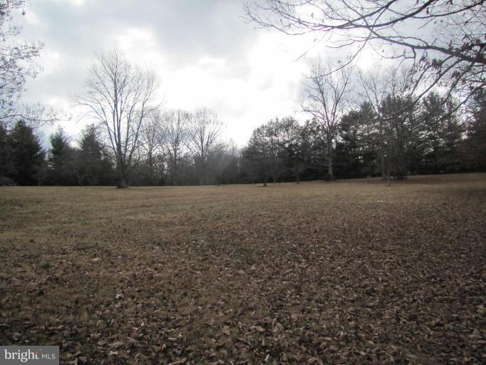2287 Beaver Dam Road Midland, VA 22728 - Photo 8 of 15 Back yard