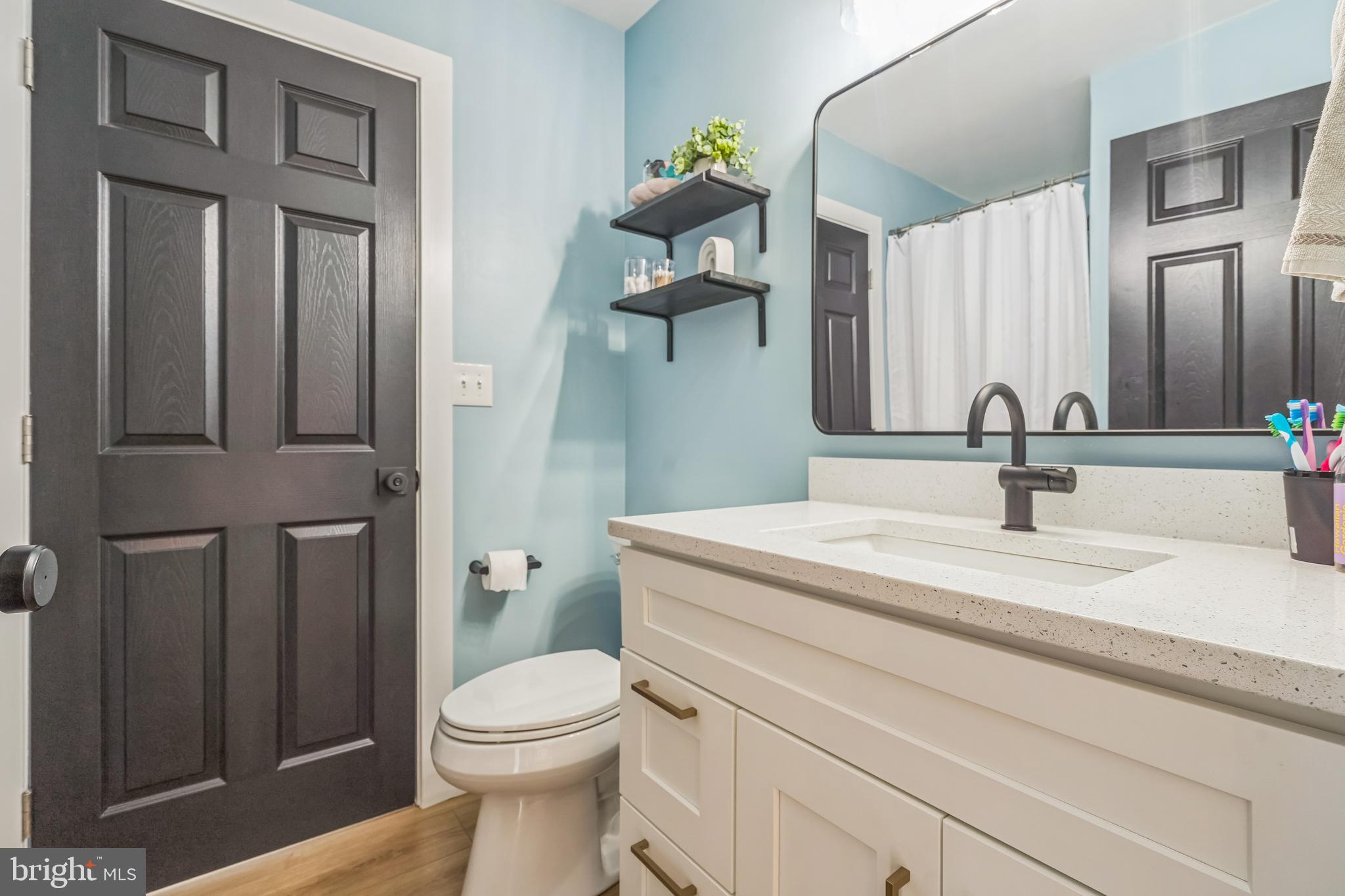4012 Chestnut Road Baltimore, MD 21220 - Photo 49 of 58 a bathroom with a sink a toilet and mirror