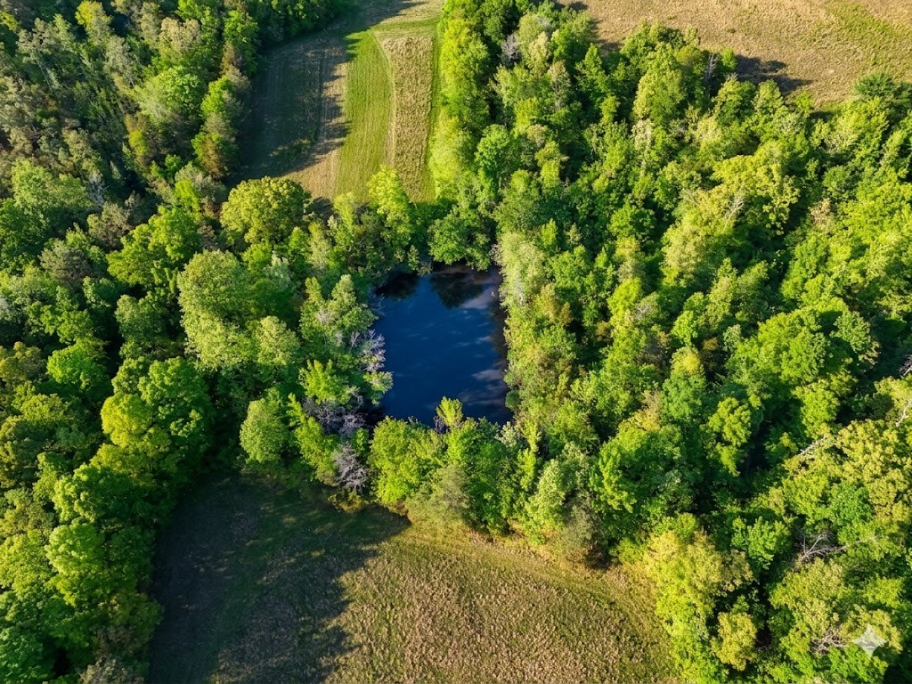 0 Upper Standing Rock Road Dover, TN 37058 - Photo 12 of 76 a view of a garden