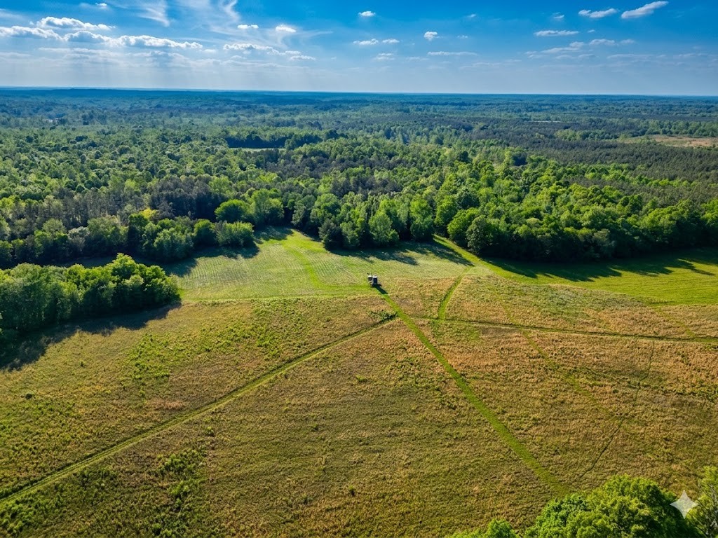 0 Upper Standing Rock Road Dover, TN 37058 - Photo 16 of 76 a view of an ocean view