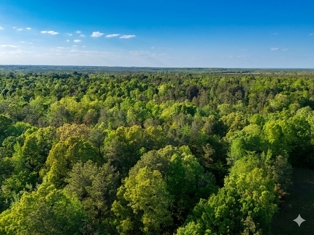 0 Upper Standing Rock Road Dover, TN 37058 - Photo 19 of 76