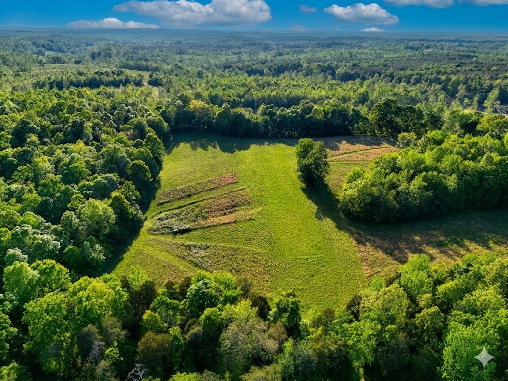0 Upper Standing Rock Road Dover, TN 37058 - Photo 20 of 76 a view of a lake with a city