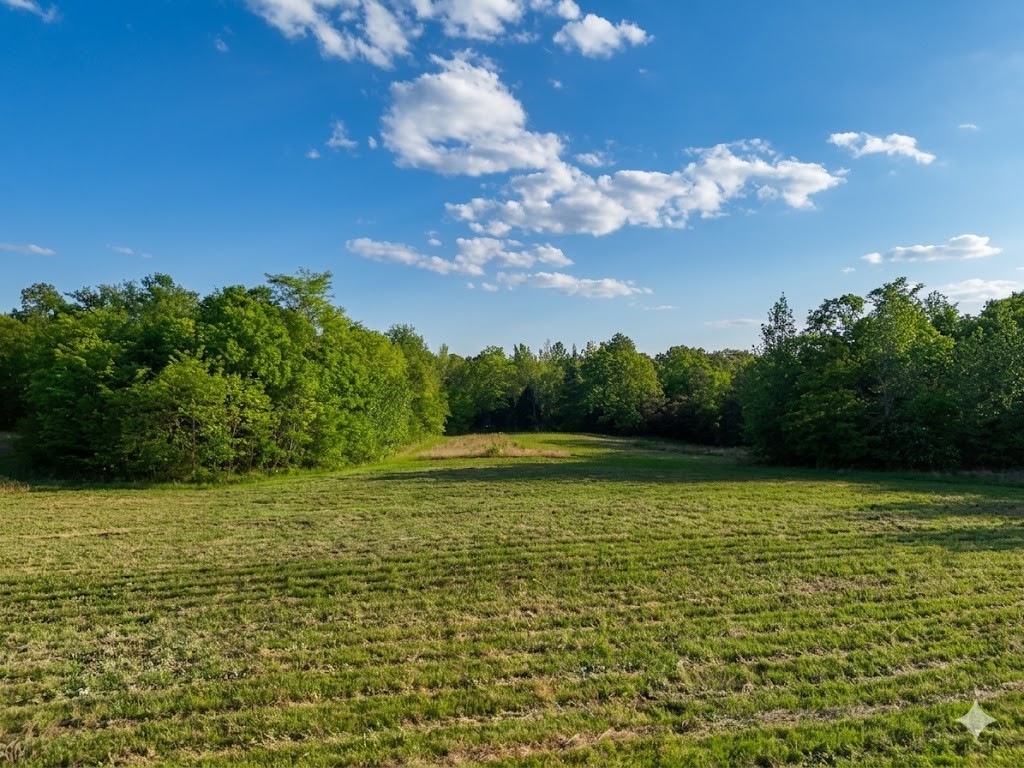0 Upper Standing Rock Road Dover, TN 37058 - Photo 22 of 76