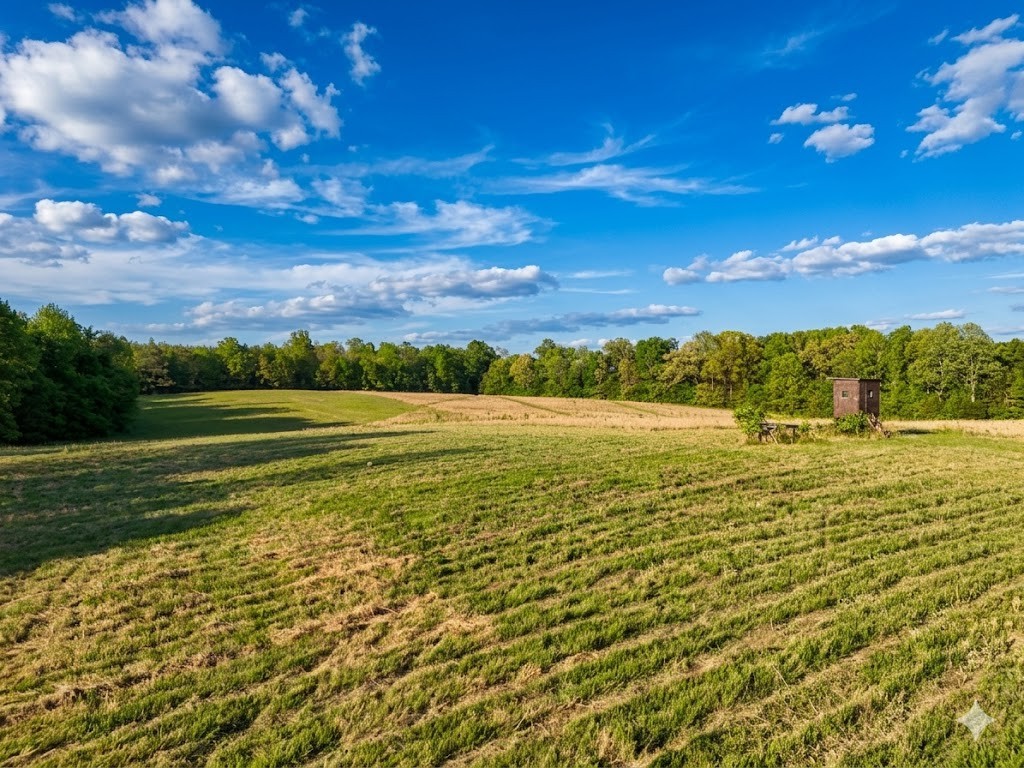 0 Upper Standing Rock Road Dover, TN 37058 - Photo 23 of 76 a view of an ocean and a building