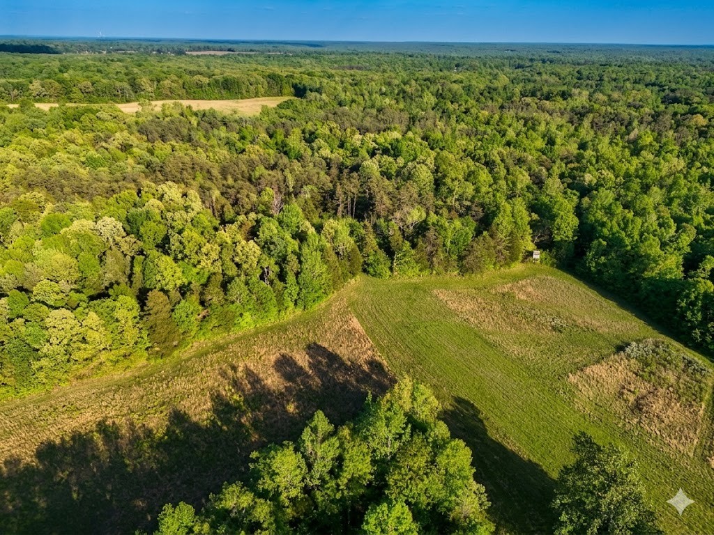 0 Upper Standing Rock Road Dover, TN 37058 - Photo 27 of 76 a view of a yard with a tree