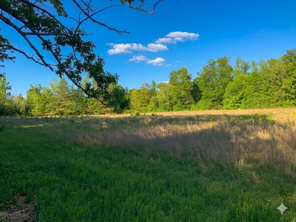 0 Upper Standing Rock Road Dover, TN 37058 - Photo 28 of 76