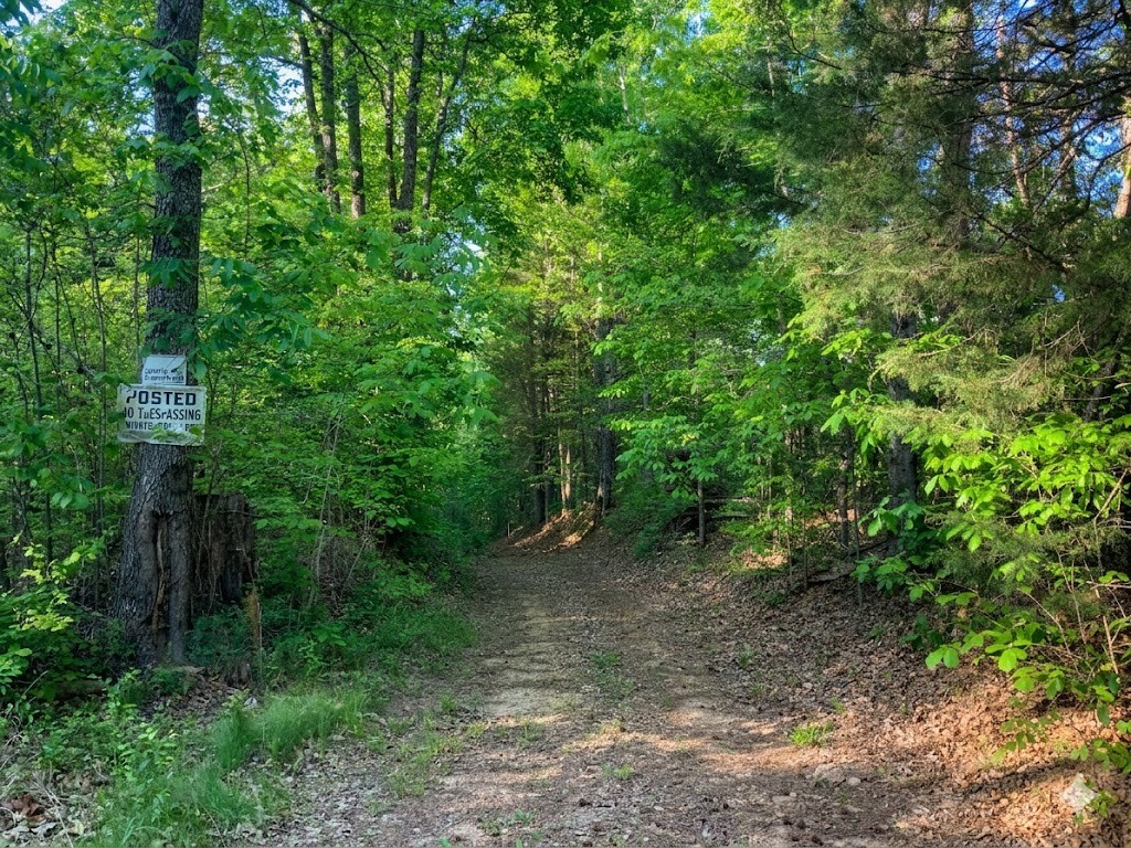 0 Upper Standing Rock Road Dover, TN 37058 - Photo 32 of 76 a view of a forest with trees in the background