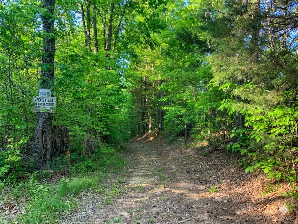 0 Upper Standing Rock Road Dover, TN 37058 - Photo 33 of 76 a view of a forest with trees in the background