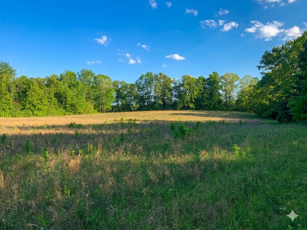 0 Upper Standing Rock Road Dover, TN 37058 - Photo 35 of 76 a view of a lake with a yard