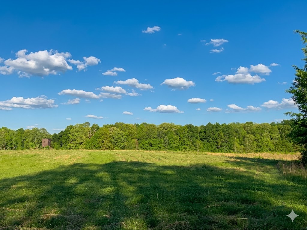 0 Upper Standing Rock Road Dover, TN 37058 - Photo 43 of 76