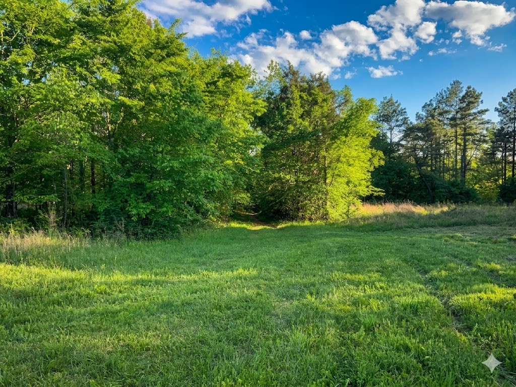 0 Upper Standing Rock Road Dover, TN 37058 - Photo 44 of 76 a view of a garden