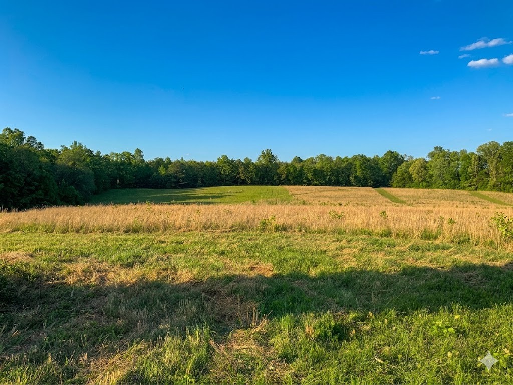 0 Upper Standing Rock Road Dover, TN 37058 - Photo 47 of 76 a view of lake and mountain view