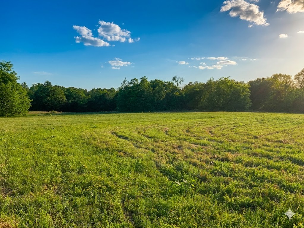 0 Upper Standing Rock Road Dover, TN 37058 - Photo 48 of 76