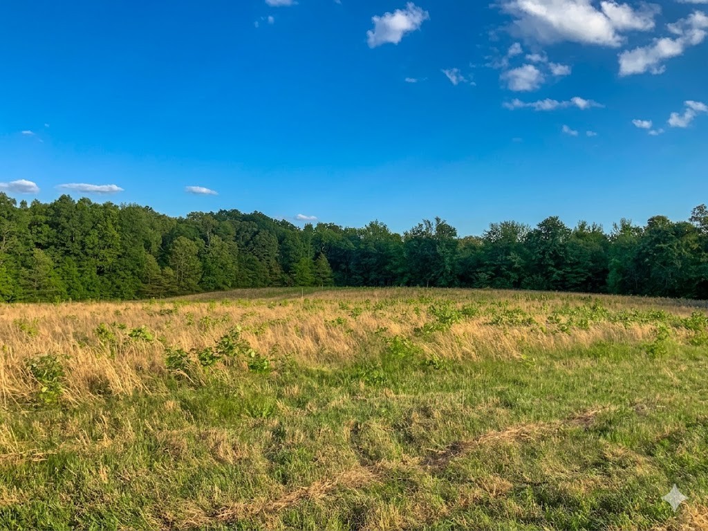 0 Upper Standing Rock Road Dover, TN 37058 - Photo 50 of 76 a view of a green yard
