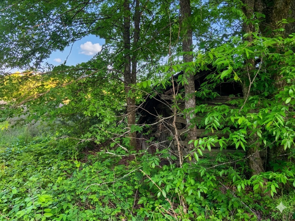 0 Upper Standing Rock Road Dover, TN 37058 - Photo 54 of 76 a backyard of a house with lots of green space