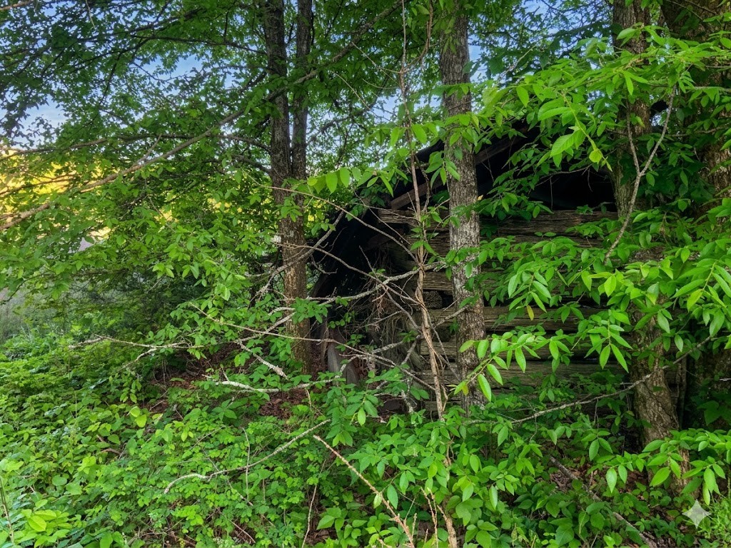 0 Upper Standing Rock Road Dover, TN 37058 - Photo 56 of 76 a view of a yard