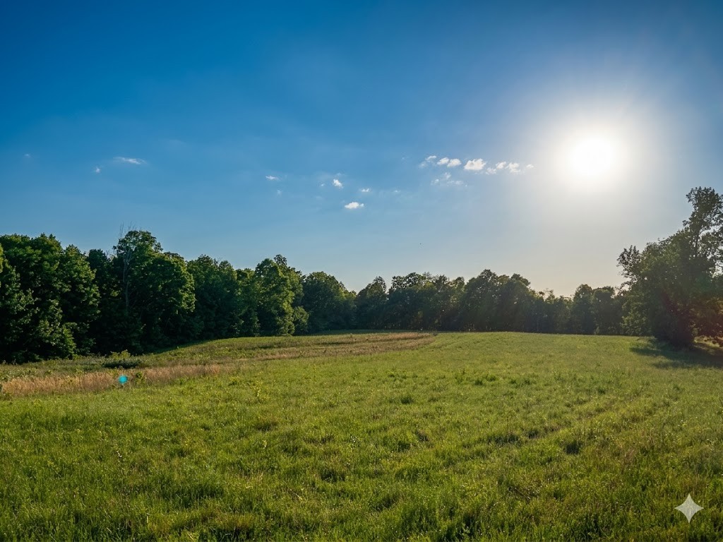 0 Upper Standing Rock Road Dover, TN 37058 - Photo 59 of 76 a view of a green field with trees in the background