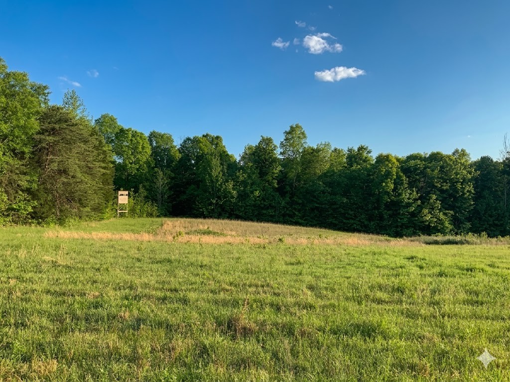 0 Upper Standing Rock Road Dover, TN 37058 - Photo 63 of 76