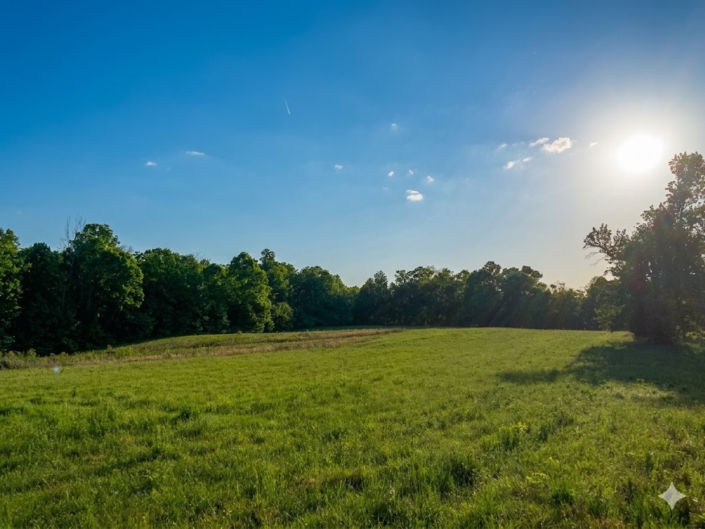0 Upper Standing Rock Road Dover, TN 37058 - Photo 65 of 76 a view of a field with an trees in the background