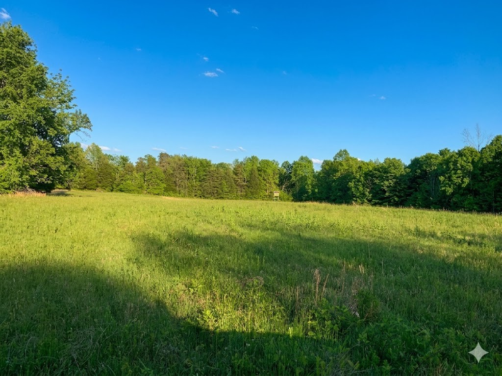 0 Upper Standing Rock Road Dover, TN 37058 - Photo 66 of 76 a view of an outdoor space and yard