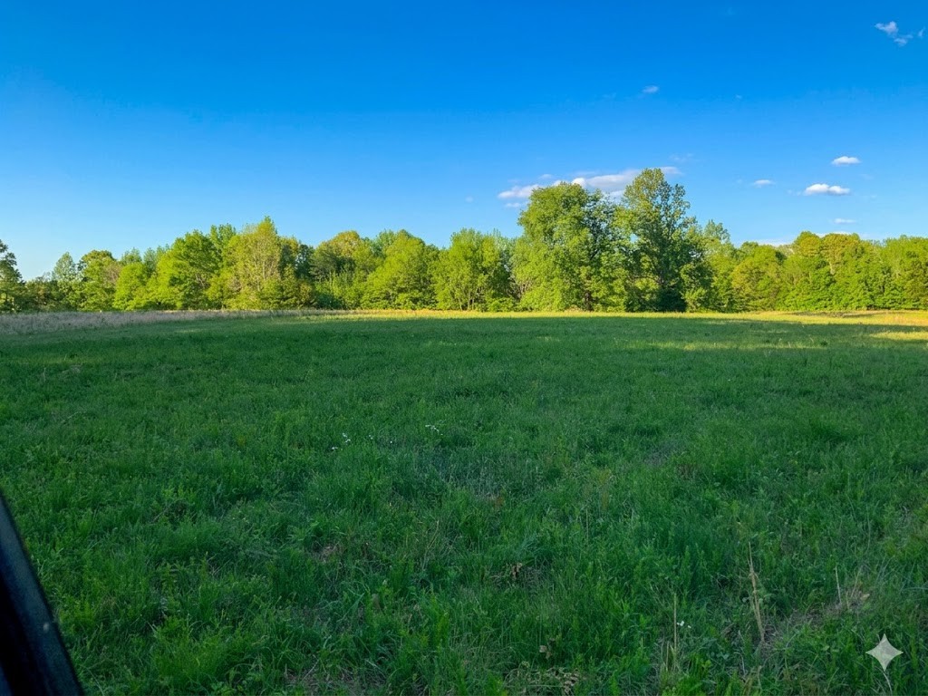 0 Upper Standing Rock Road Dover, TN 37058 - Photo 68 of 76 a view of a green field with wooden fence