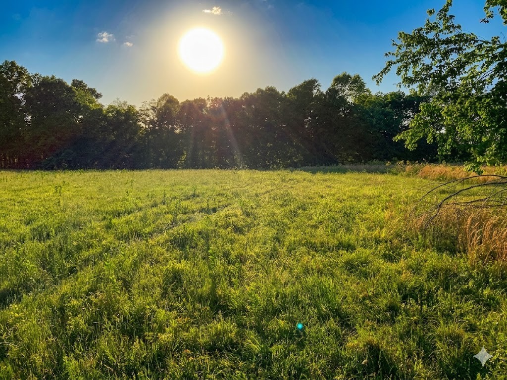 0 Upper Standing Rock Road Dover, TN 37058 - Photo 71 of 76 a view of an outdoor space and a yard