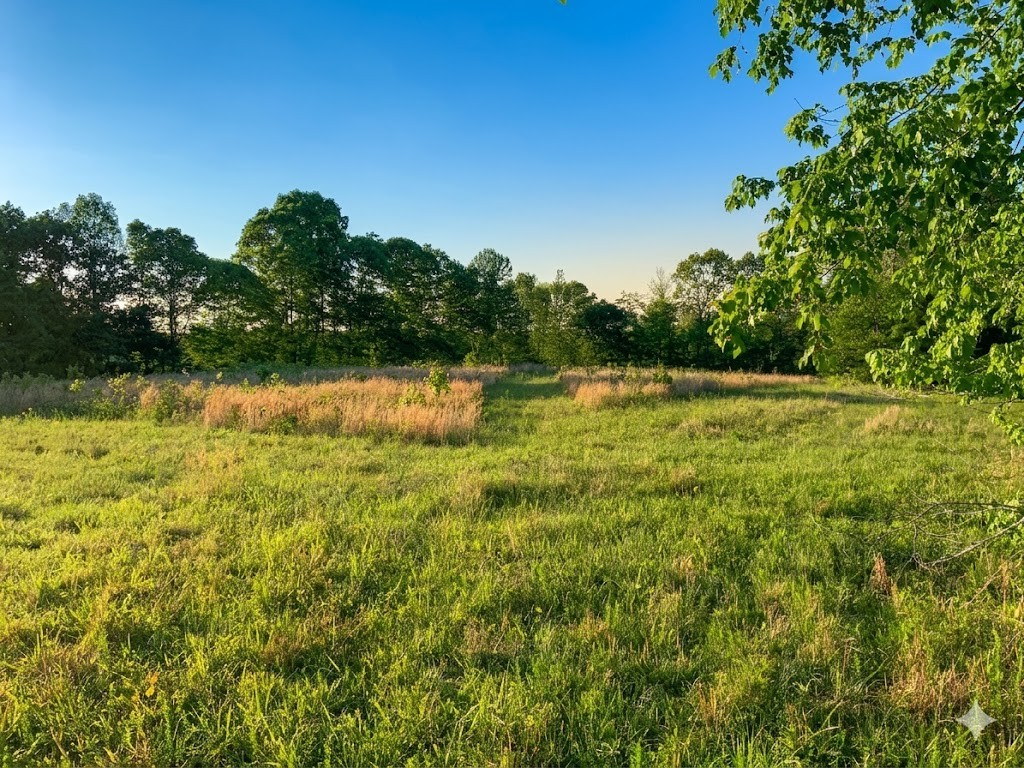 0 Upper Standing Rock Road Dover, TN 37058 - Photo 72 of 76
