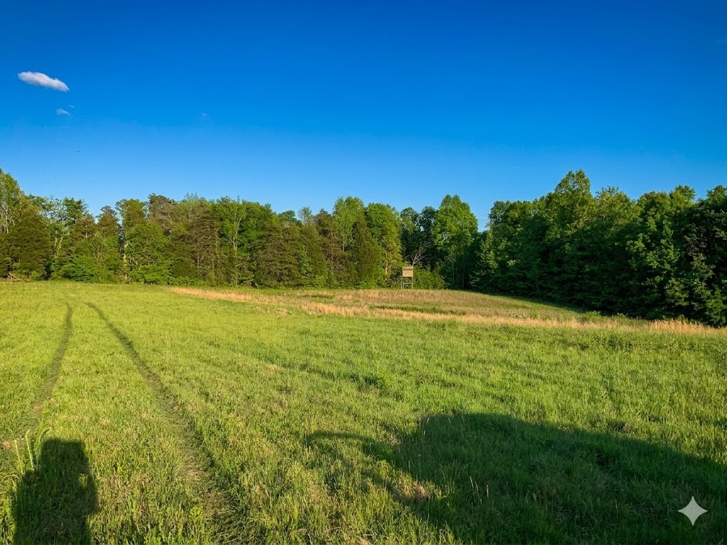 0 Upper Standing Rock Road Dover, TN 37058 - Photo 73 of 76 a view of a field with an ocean view