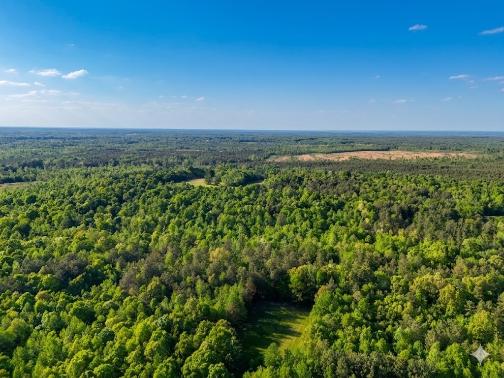 0 Upper Standing Rock Road Dover, TN 37058 - Photo 10 of 76