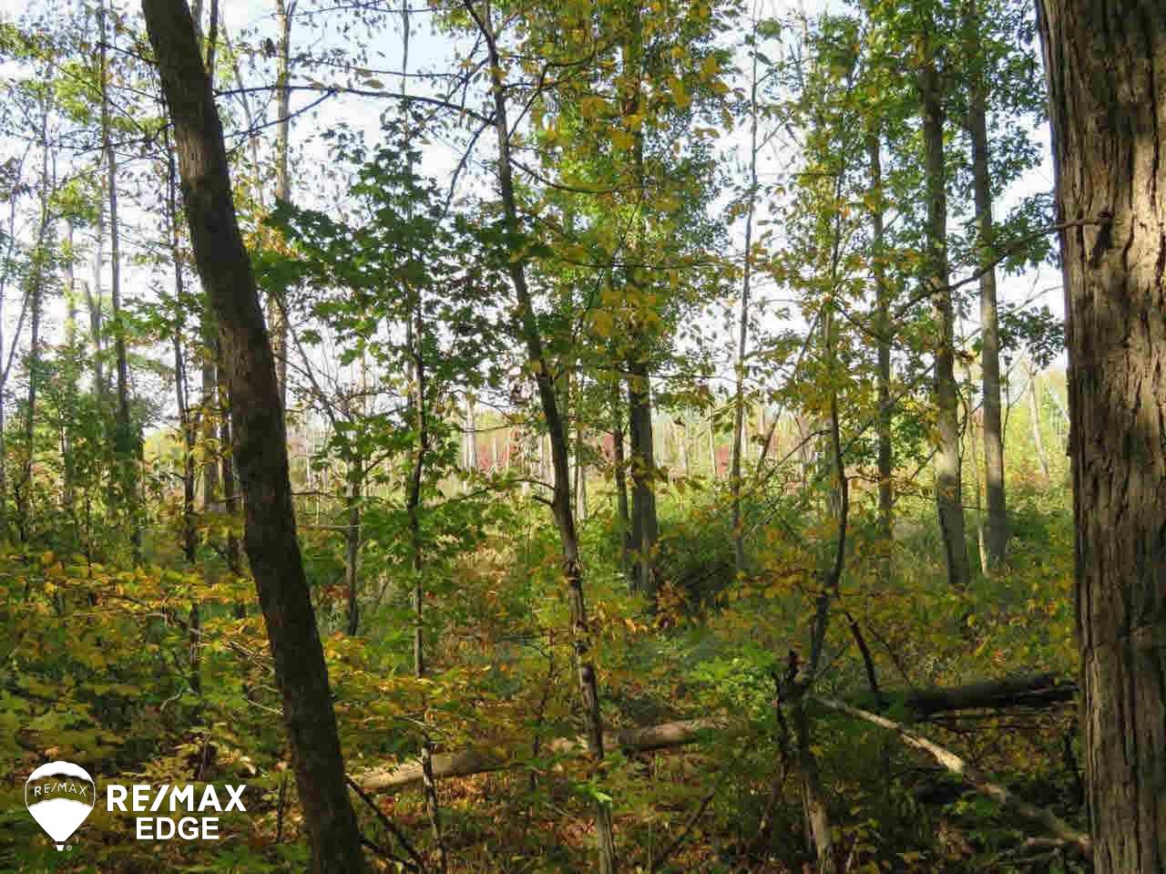 10388 North Oak Road Otisville, MI 48463 - Photo 19 of 21 Gallery Image 19