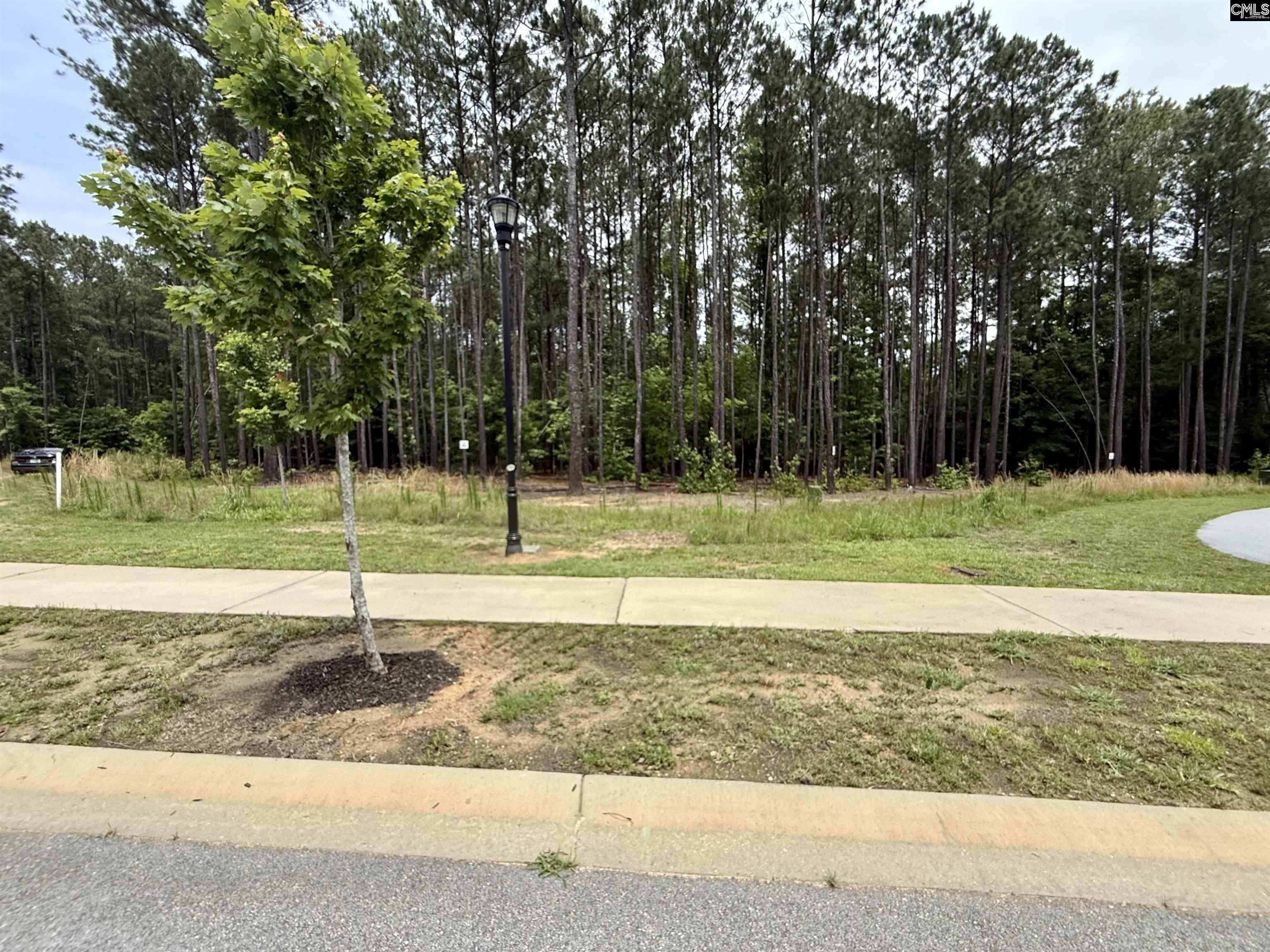 85 Timber Trl Lane Prosperity, SC 29127 - Photo 3 of 19