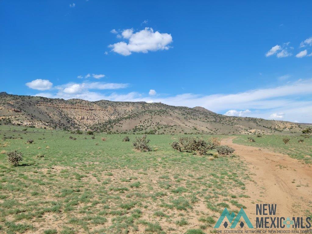 Tbd Rinconada Road San Fidel, NM 87049 - Photo 6 of 40