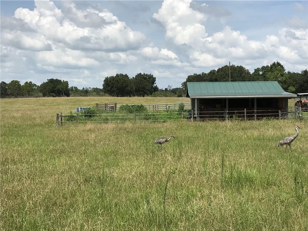 Knight Lake Road Groveland, FL 34736 - Photo 1 of 1