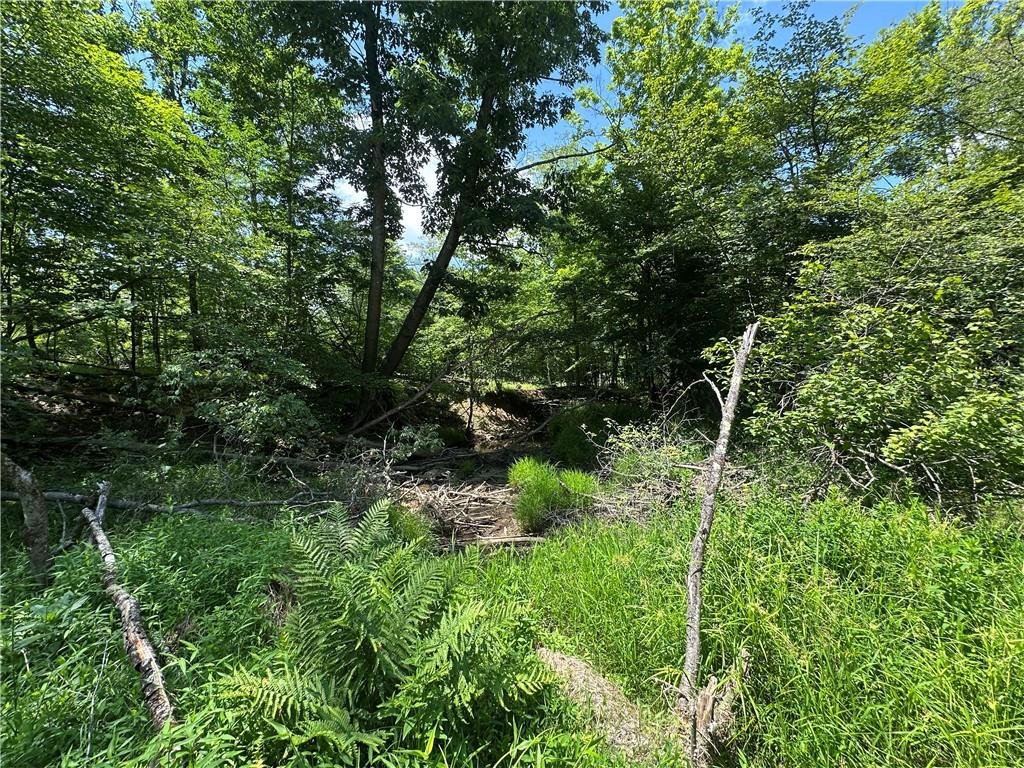 0 Cooperstown Road Cooperstown, PA 16317 - Photo 15 of 23