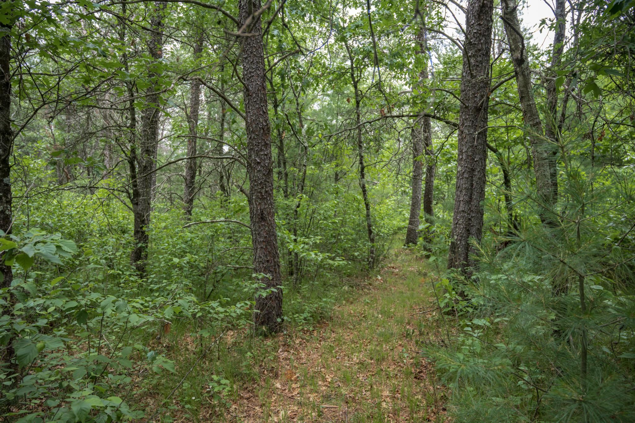 907 West Trout Valley Road Hancock, WI 54943 - Photo 7 of 48