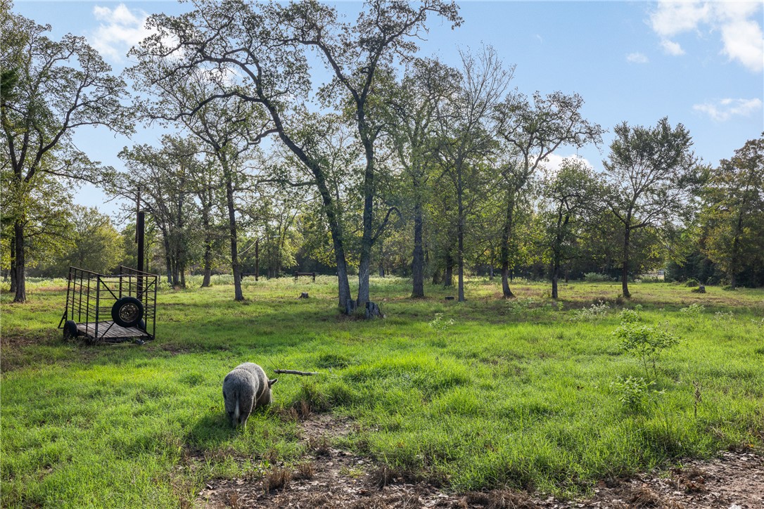 9556 West Henry Prairie Road Hearne, TX 77859 - Photo 33 of 42 Gallery Image 33
