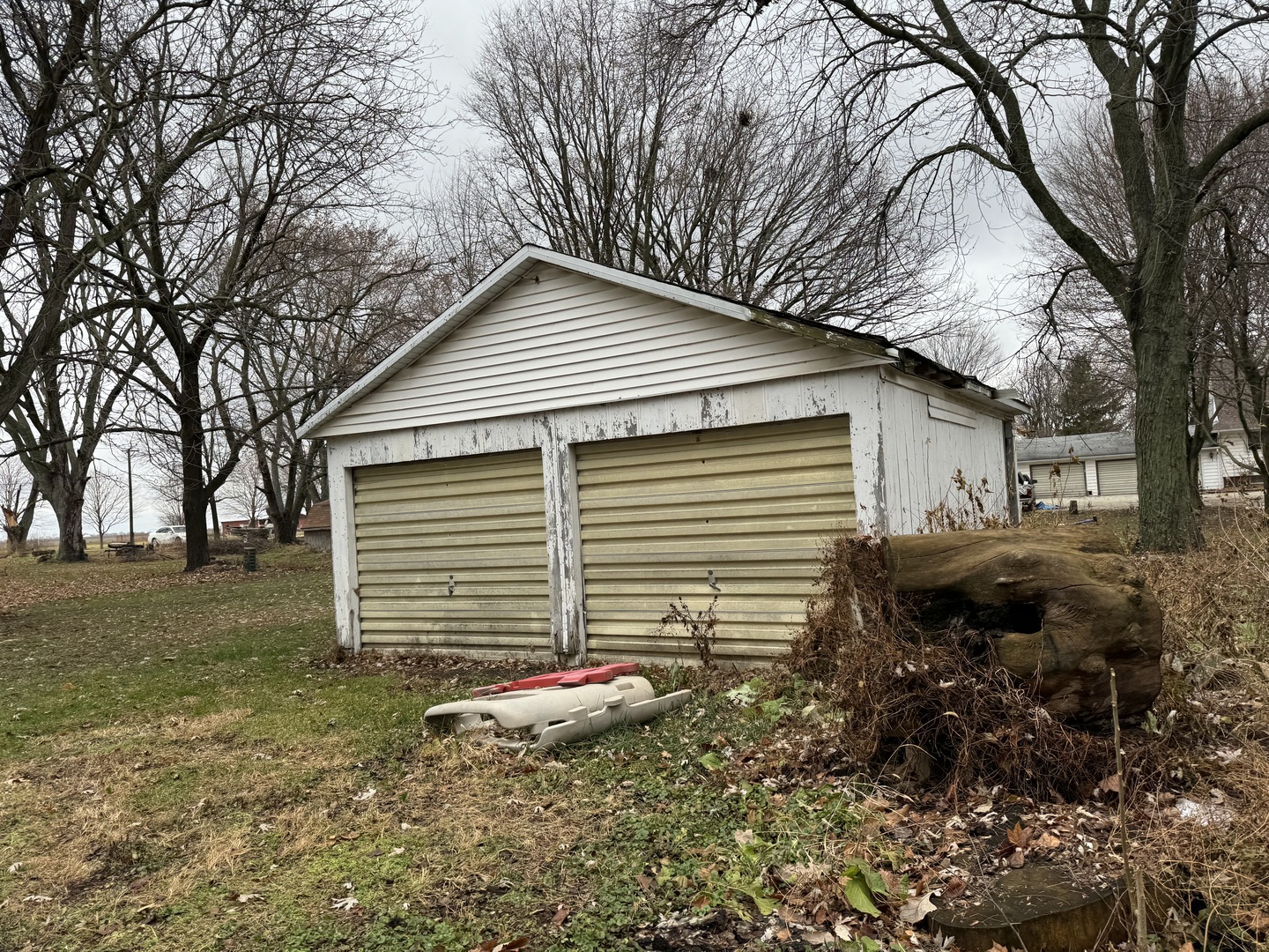 210 South Main Street Long Point, IL 61333 - Photo 3 of 4