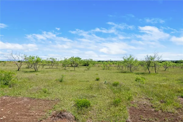 $425,000 | 236 Liberty Hill, Liberty Hill, TX 78642