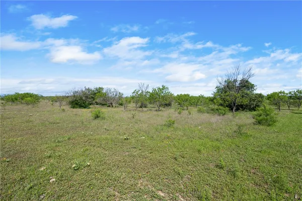$425,000 | 236 Liberty Hill, Liberty Hill, TX 78642